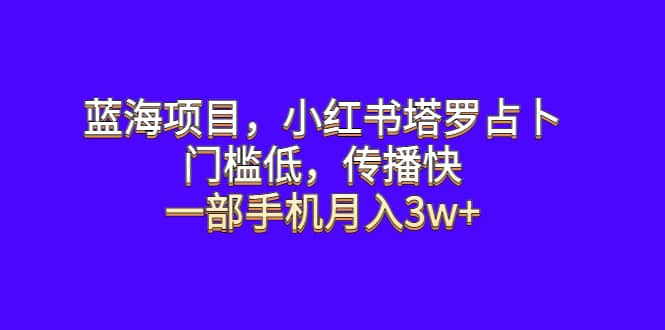 蓝海项目，小红书塔罗占卜，门槛低，传播快，一部手机月入3w+-爱省资源网