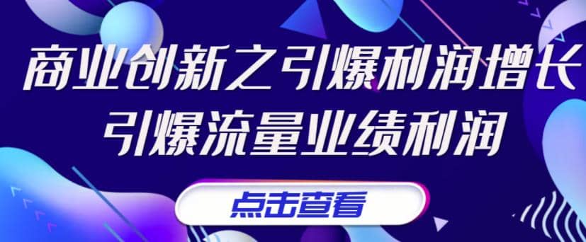 《商业创新之引爆利润增长》引爆流量业绩利润-爱省资源网