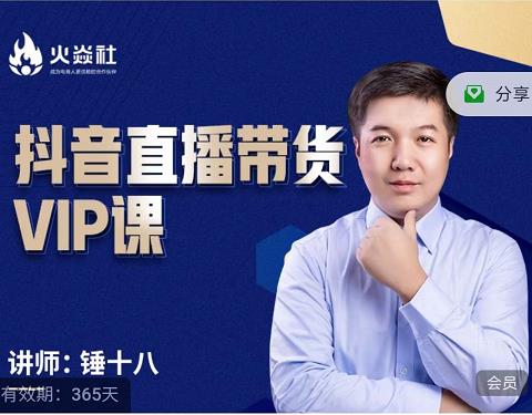 锤十八-抖音直播带货VIP课，专注直播带货有效盈利模式-爱省资源网