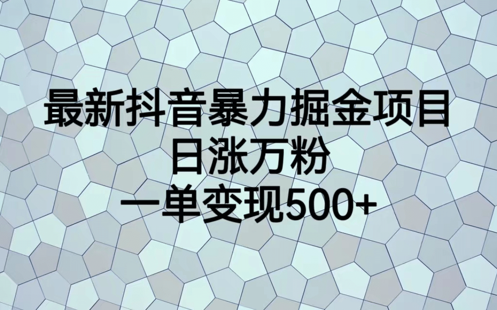 最火热的抖音暴力掘金项目，日涨万粉，多种变现方式，一单变现可达500+-爱省资源网