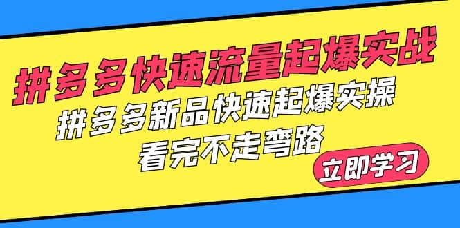 拼多多-快速流量起爆实战，拼多多新品快速起爆实操，看完不走弯路-爱省资源网