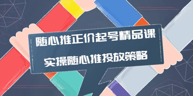 随心推正价起号精品课，实操随心推投放策略（5节课-价值298）-爱省资源网