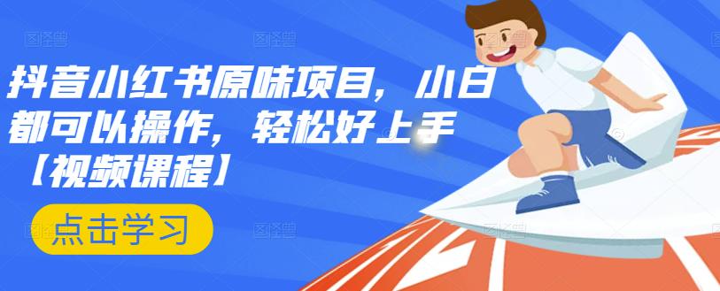 抖音小红书原味项目，小白都可以操作，轻松好上手【视频课程】-爱省资源网