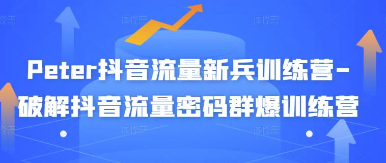 Peter抖音流量新兵训练营-破解抖音流量密码群爆训练营（新兵）-爱省资源网