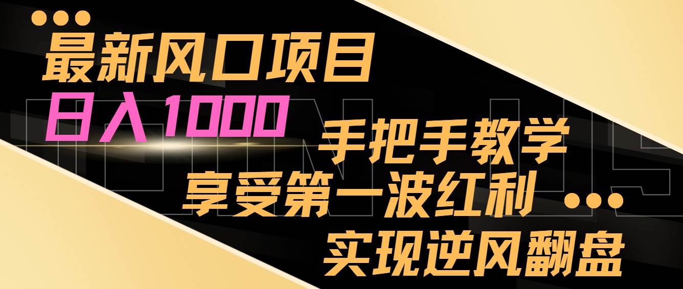 最新风口项目，日入过千，抓住当下风口，享受第一波红利，实现逆风翻盘-爱省资源网