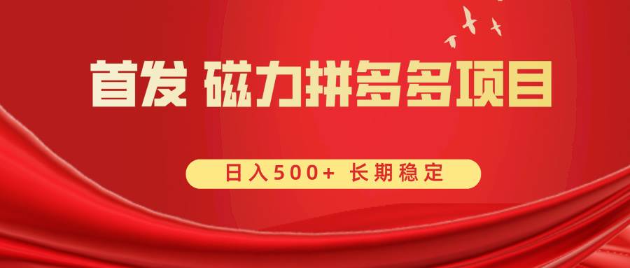 首发 磁力拼多多自撸  日入500+-爱省资源网