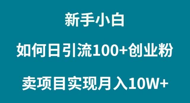 新手小白如何通过卖项目实现月入10W+-爱省资源网