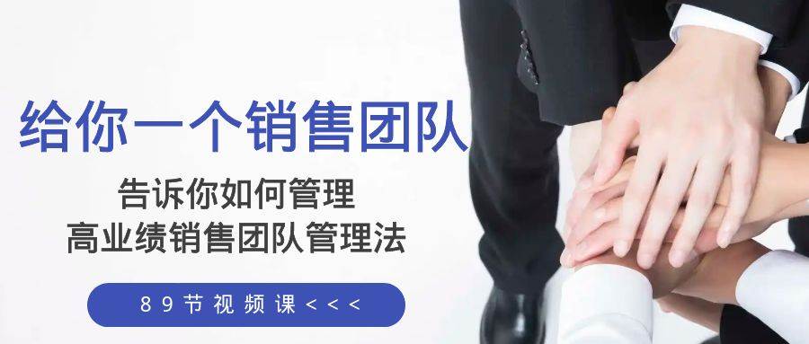 给你一个销售团队，告诉你如何管理，高业绩销售团队管理法（89节课）-爱省资源网