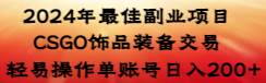 2024年最佳副业项目 CSGO饰品装备交易 轻易操作单账号日入200+-爱省资源网