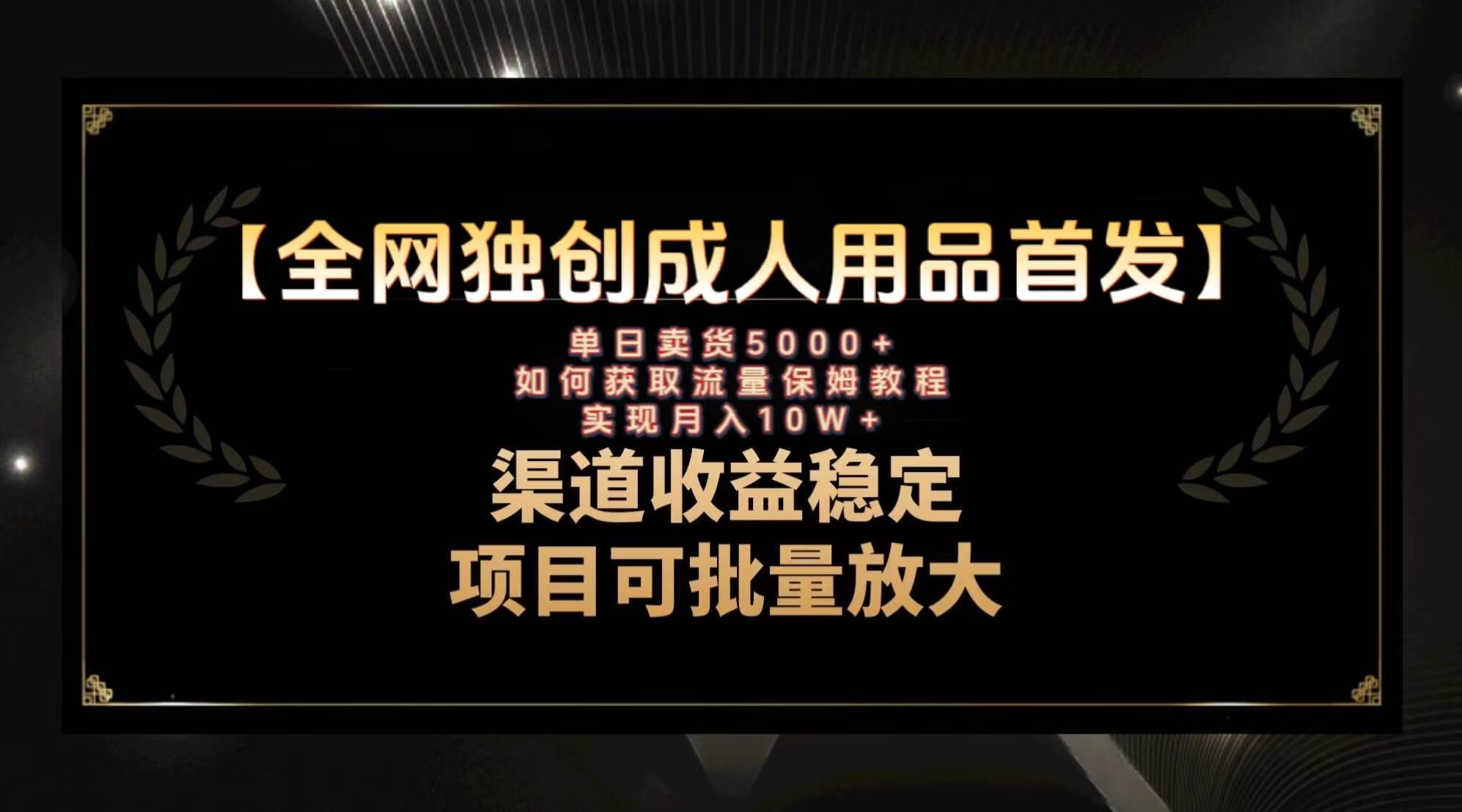 最新全网独创首发，成人用品赛道引流获客，月入10w保姆级教程-爱省资源网