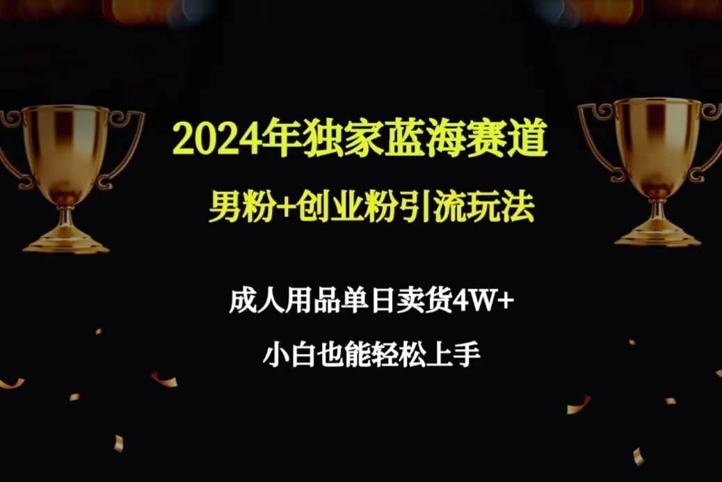 2024年独家蓝海赛道男粉+创业粉引流玩法，成人用品单日卖货4W+保姆教程-爱省资源网