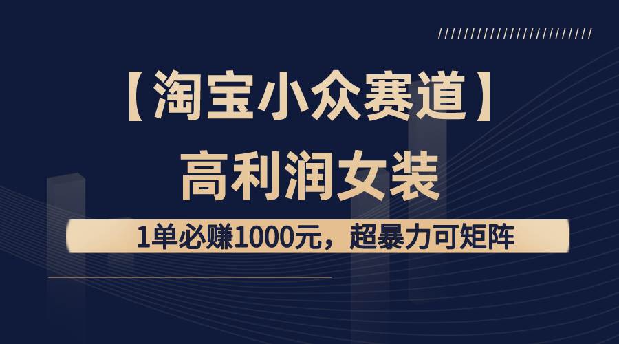 【淘宝小众赛道】高利润女装：1单必赚1000元，超暴力可矩阵-爱省资源网