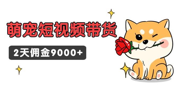 东哲日记·萌宠短视频带货，2天佣金9000+-爱省资源网