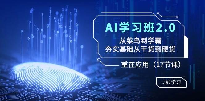 AI学习班2.0：从菜鸟到学霸，夯实基础从干货到硬货，重在应用（17节课）-爱省资源网