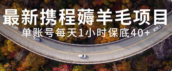 最新携程薅羊毛项目，单账号每天1小时保底收益40+，可矩阵操作-爱省资源网