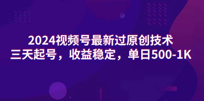 2024视频号最新过原创技术，三天起号，收益稳定，单日500-1K-爱省资源网