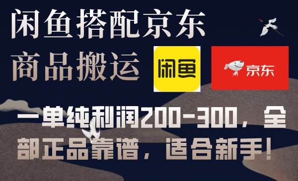 闲鱼搭配京东备份库搬运，一单纯利润200-300，全部正品靠谱，适合新手！-爱省资源网