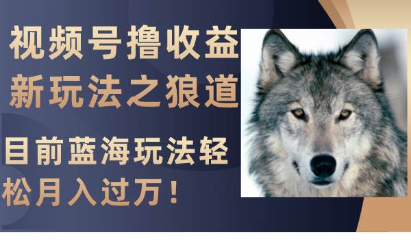 视频号撸收益新玩法之狼道，目前蓝海玩法轻松月入过万！-爱省资源网