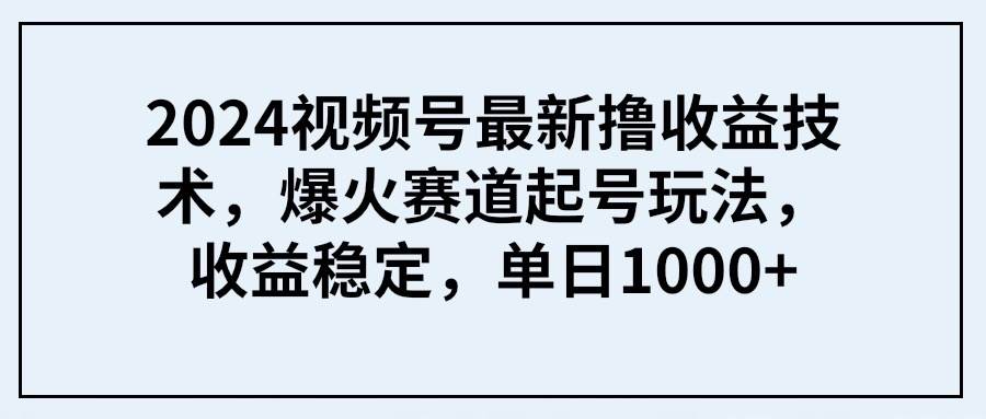 2024视频号最新撸收益技术，爆火赛道起号玩法，收益稳定，单日1000+-爱省资源网