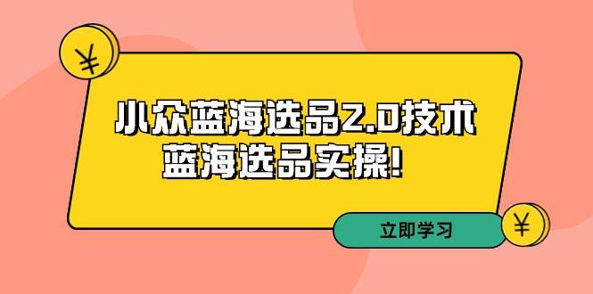 拼多多培训第33期：小众蓝海选品2.0技术-蓝海选品实操！-爱省资源网