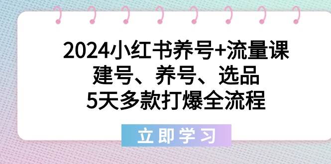 2024小红书养号+流量课：建号、养号、选品，5天多款打爆全流程-爱省资源网