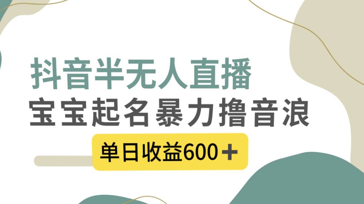抖音半无人直播，宝宝起名，暴力撸音浪，单日收益600+-爱省资源网