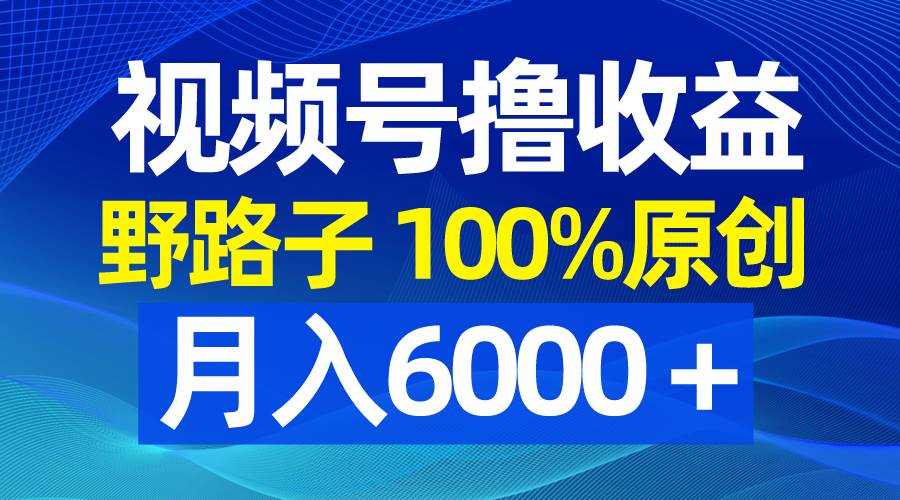 视频号野路子撸收益，100%原创，条条爆款，月入6000＋-爱省资源网