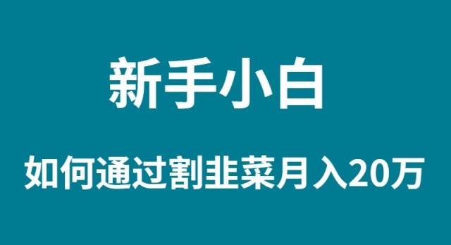 新手小白如何通过割韭菜月入 20W-爱省资源网