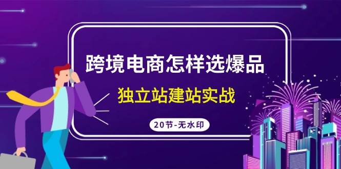 跨境电商怎样选爆品，独立站建站实战（20节高清无水印课）-爱省资源网