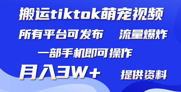 搬运Tiktok萌宠类视频，一部手机即可。所有短视频平台均可操作，月入3W+-爱省资源网