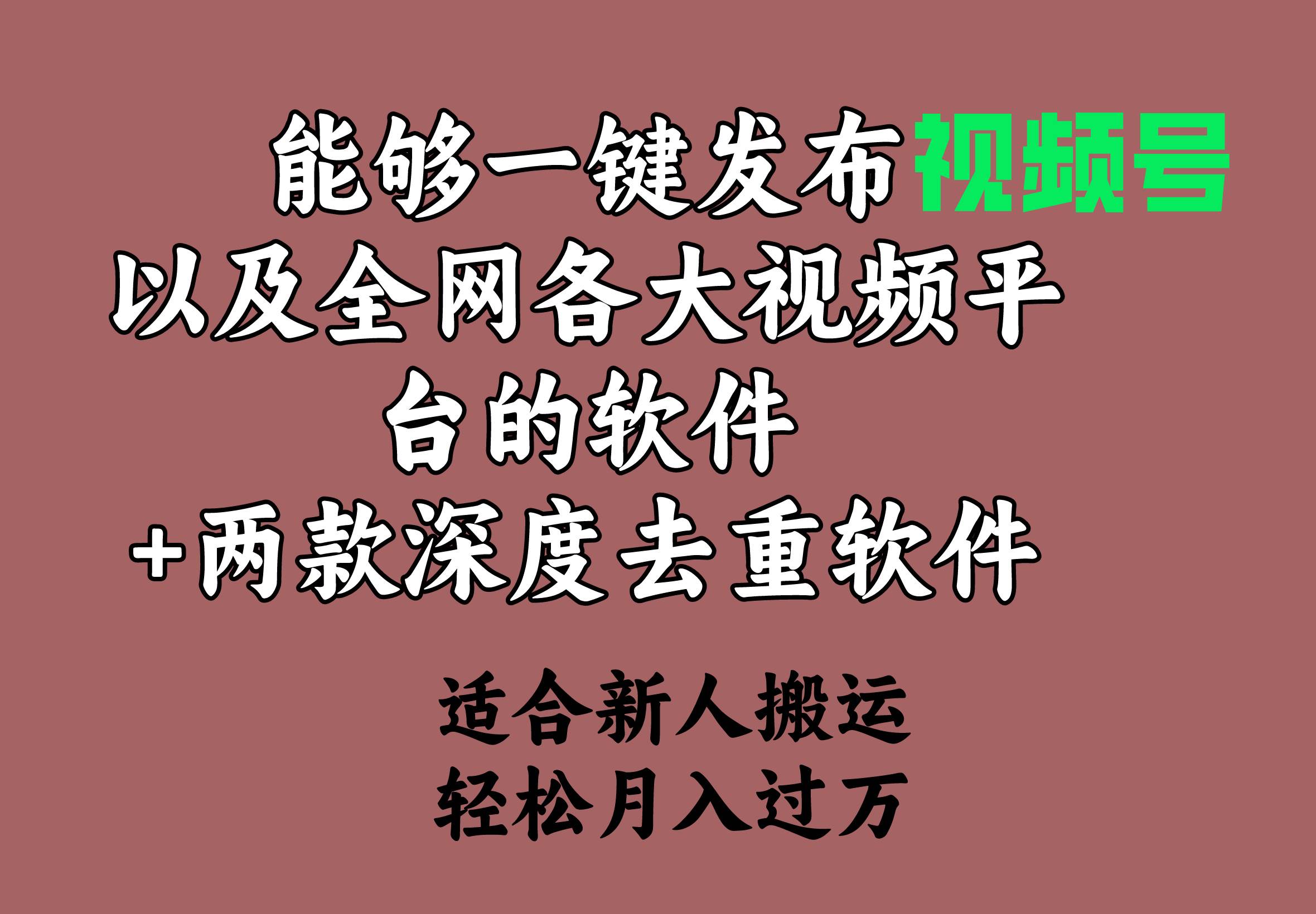 能够一键发布视频号以及全网各大视频平台的软件+两款深度去重软件 适合…-爱省资源网