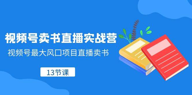 视频号-卖书直播实战营，视频号最大风囗项目直播卖书（13节课）-爱省资源网