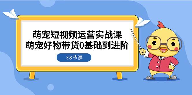 萌宠·短视频运营实战课：萌宠好物带货0基础到进阶（38节课）-爱省资源网