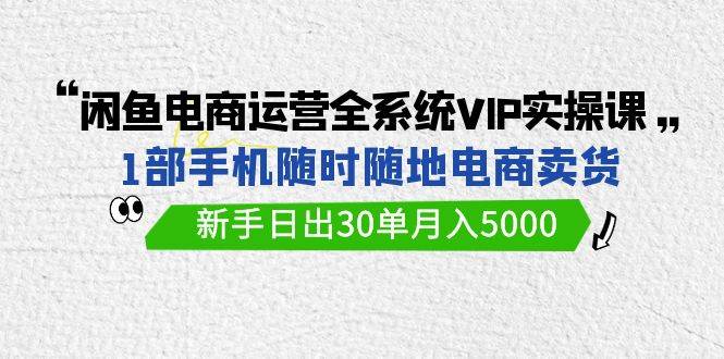 闲鱼电商运营全系统VIP实战课，1部手机随时随地卖货，新手日出30单月入5000-爱省资源网
