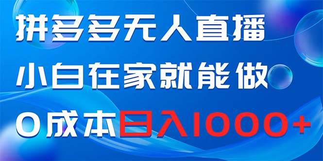 拼多多无人直播，小白在家就能做，0成本日入1000+-爱省资源网