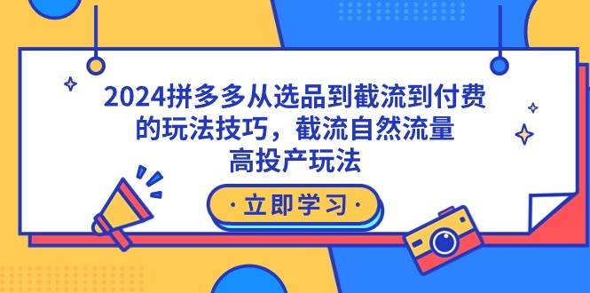 2024拼多多从选品到截流到付费的玩法技巧，截流自然流量玩法，高投产玩法-爱省资源网