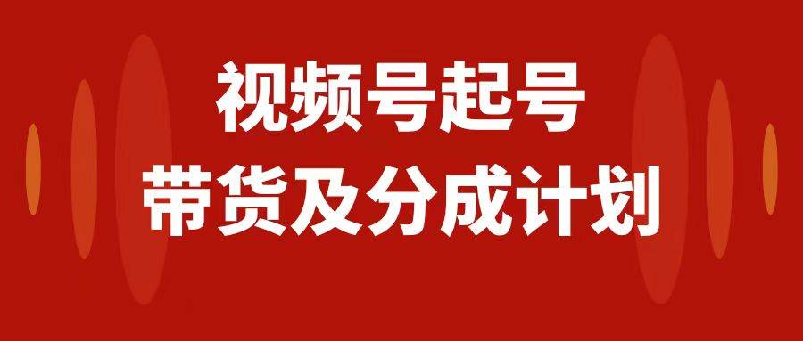 视频号快速起号，分成计划及带货，0-1起盘、运营、变现玩法，日入1000+-爱省资源网