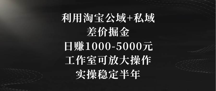 利用淘宝公域+私域差价掘金，日赚1000-5000元，工作室可放大操作，实操…-爱省资源网