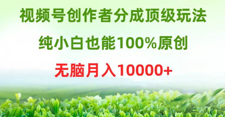 视频号创作者分成顶级玩法，纯小白也能100%原创，无脑月入10000+-爱省资源网