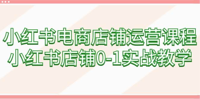 小红书电商店铺运营课程，小红书店铺0-1实战教学（60节课）-爱省资源网