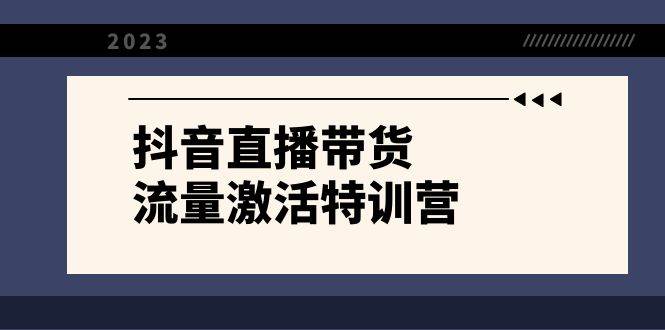抖音直播带货-流量激活特训营，入行新手小白主播必学（21节课+资料）-爱省资源网