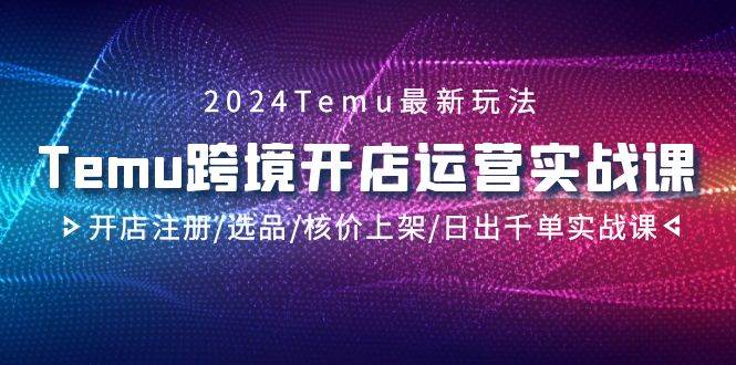 2024Temu跨境开店运营实战课，开店注册/选品/核价上架/日出千单实战课-爱省资源网