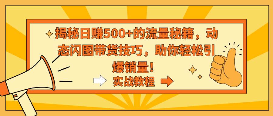 揭秘日赚500+的流量秘籍，动态闪图带货技巧，助你轻松引爆销量！-爱省资源网