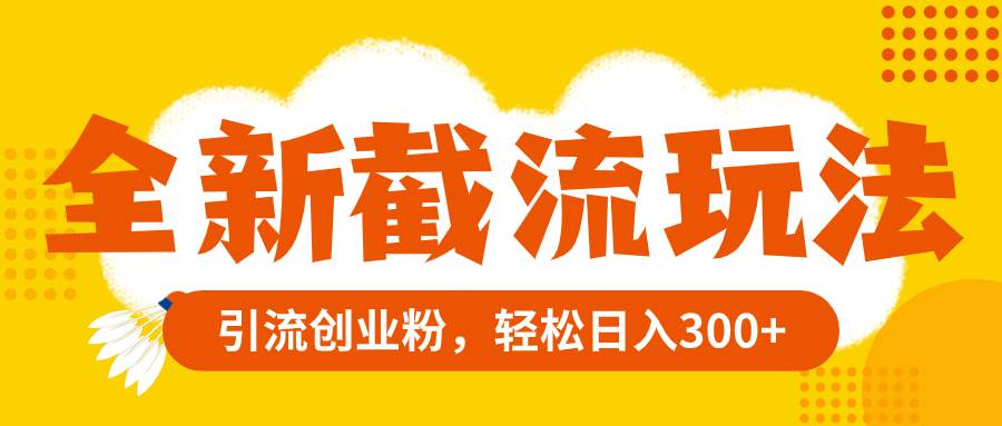 全新截流玩法，精准引流创业粉，轻松日入300+-爱省资源网
