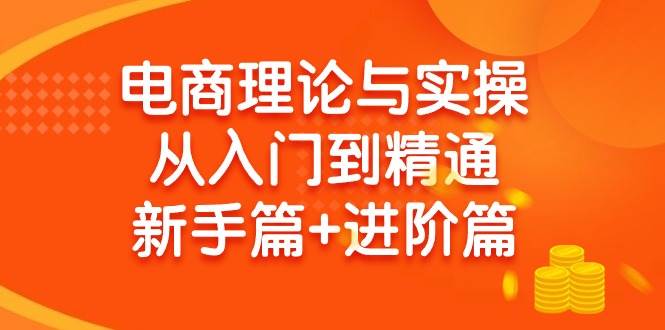 电商理论与实操从入门到精通 新手篇+进阶篇-爱省资源网