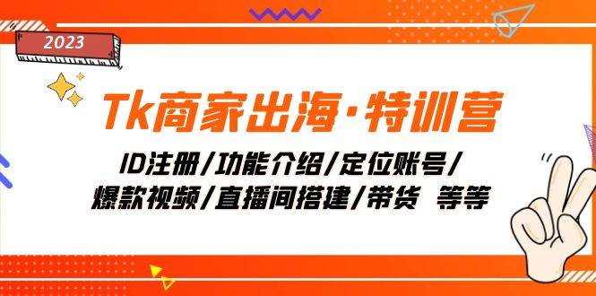 Tk商家出海·特训营：ID注册/功能介绍/定位账号/爆款视频/直播间搭建/带货-爱省资源网