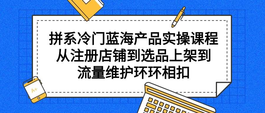 拼系冷门蓝海产品实操课程，从注册店铺到选品上架到流量维护环环相扣-爱省资源网
