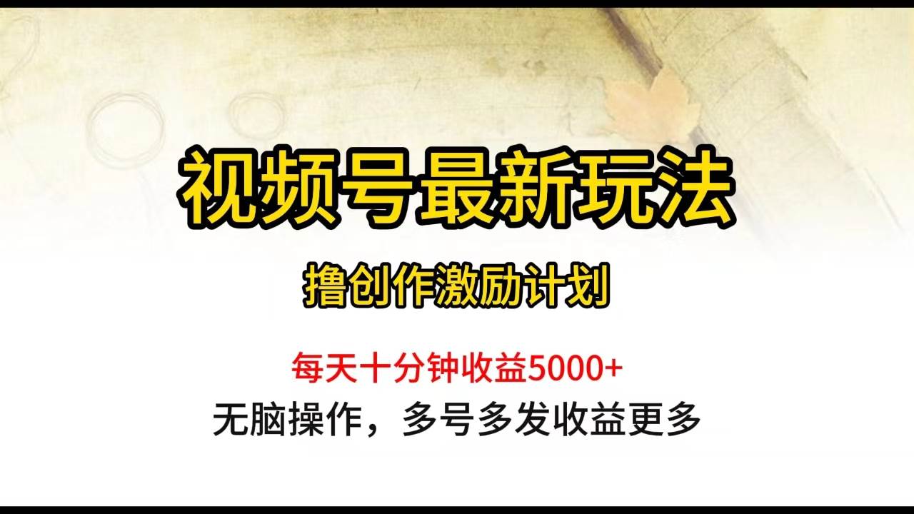 视频号最新玩法，每日一小时月入5000+-爱省资源网