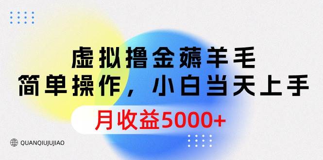 虚拟撸金薅羊毛，简单操作，小白当天上手，月收益5000+-爱省资源网