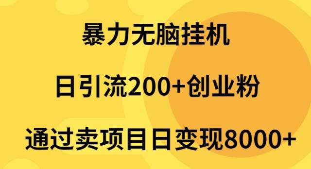 暴力无脑挂机日引流200+创业粉通过卖项目日变现2000+-爱省资源网